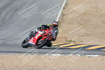 media/Mar-17-2024-CVMA (Sun) [[2dda336935]]/Race 1 Supersport Open/